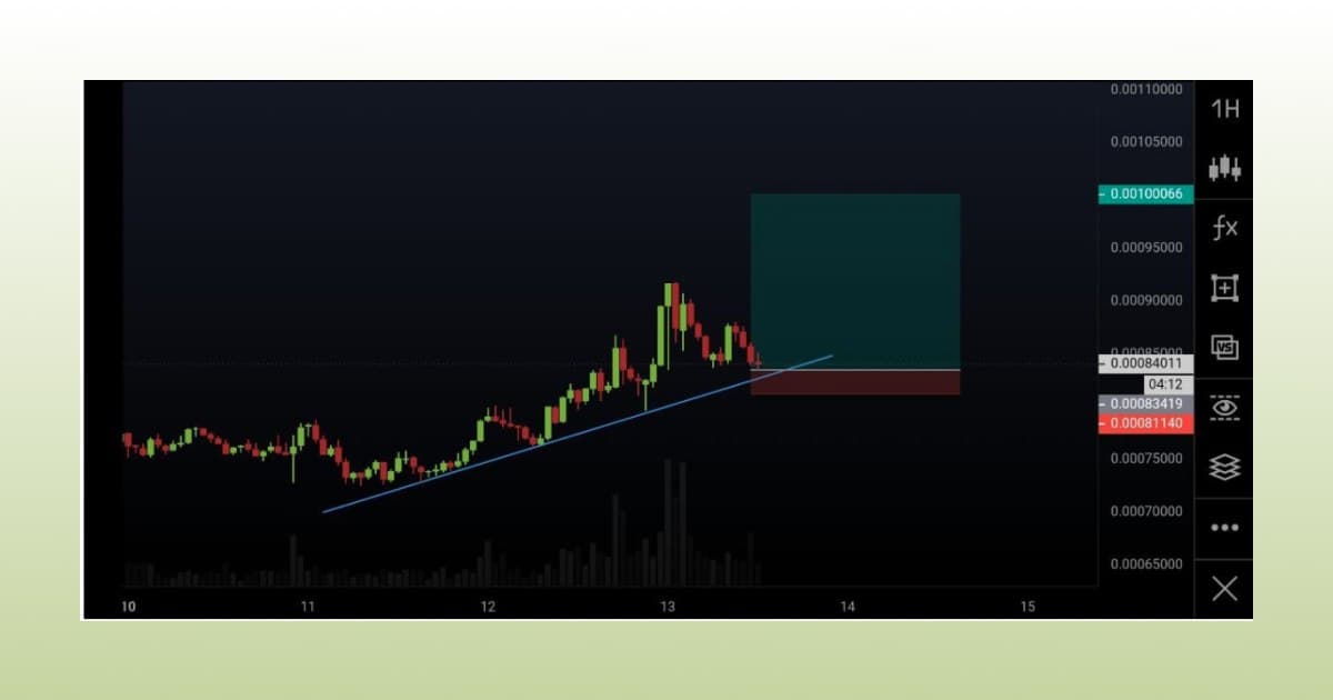 photo_2021-08-12_15-09-23